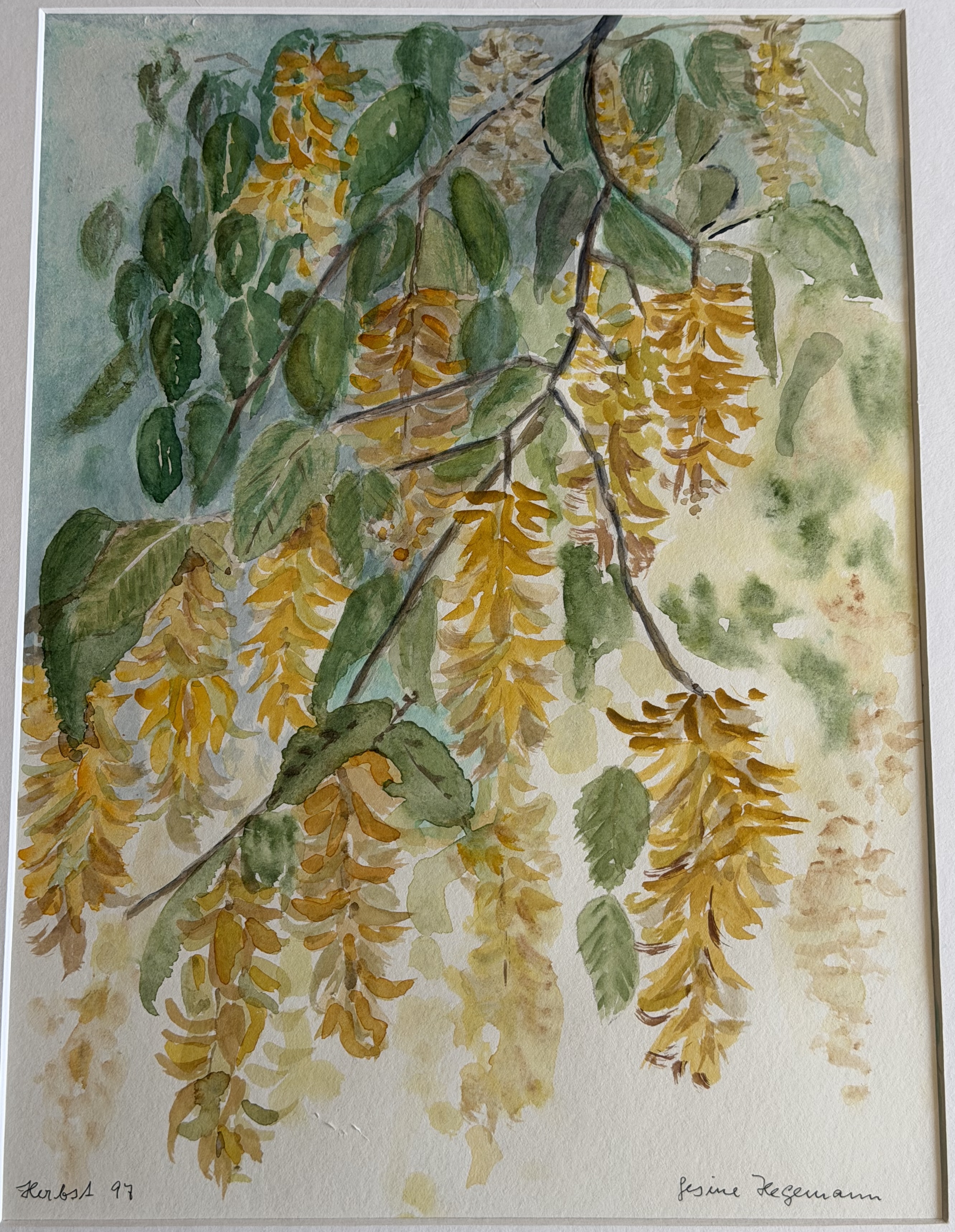 Bild 14