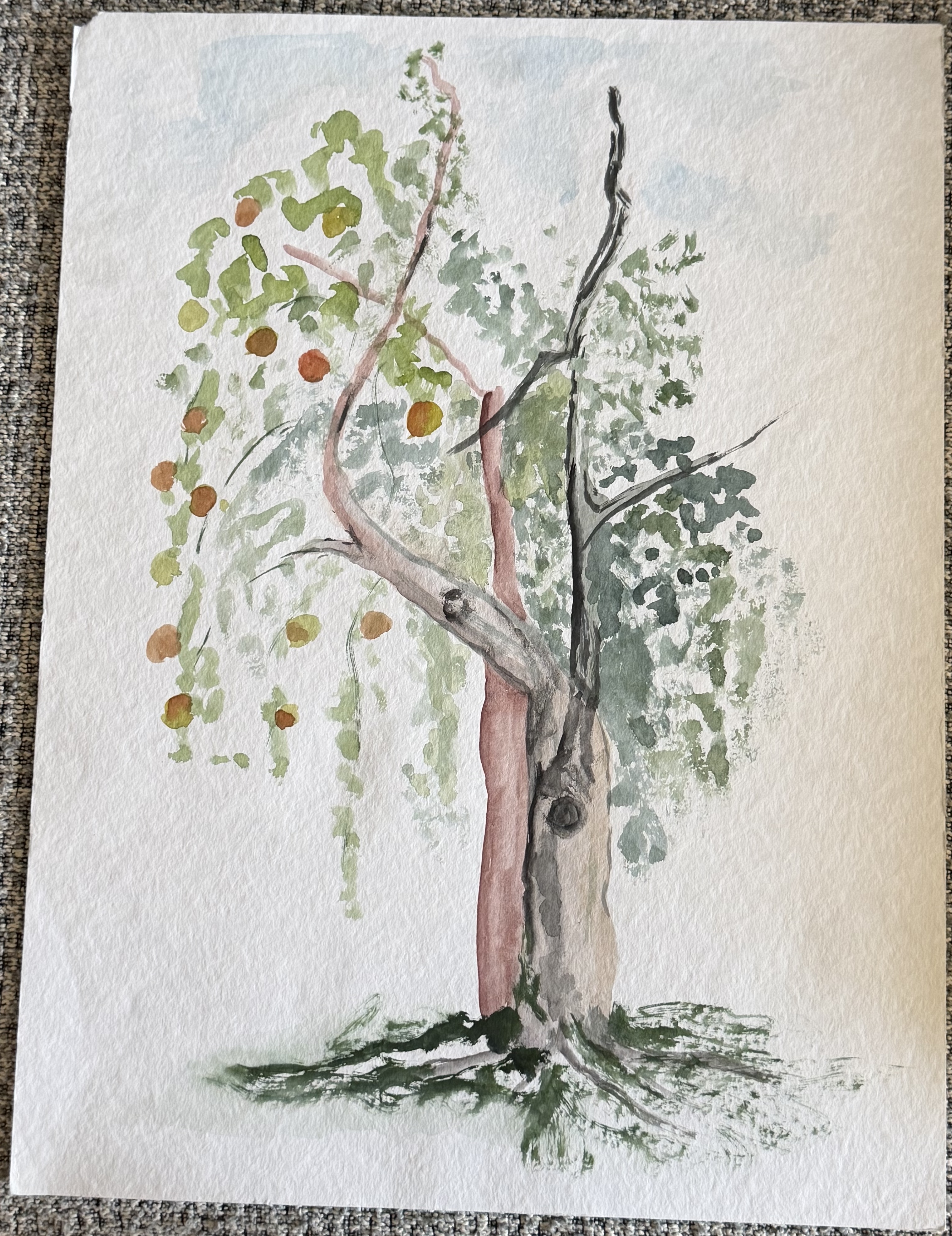 Bild 37