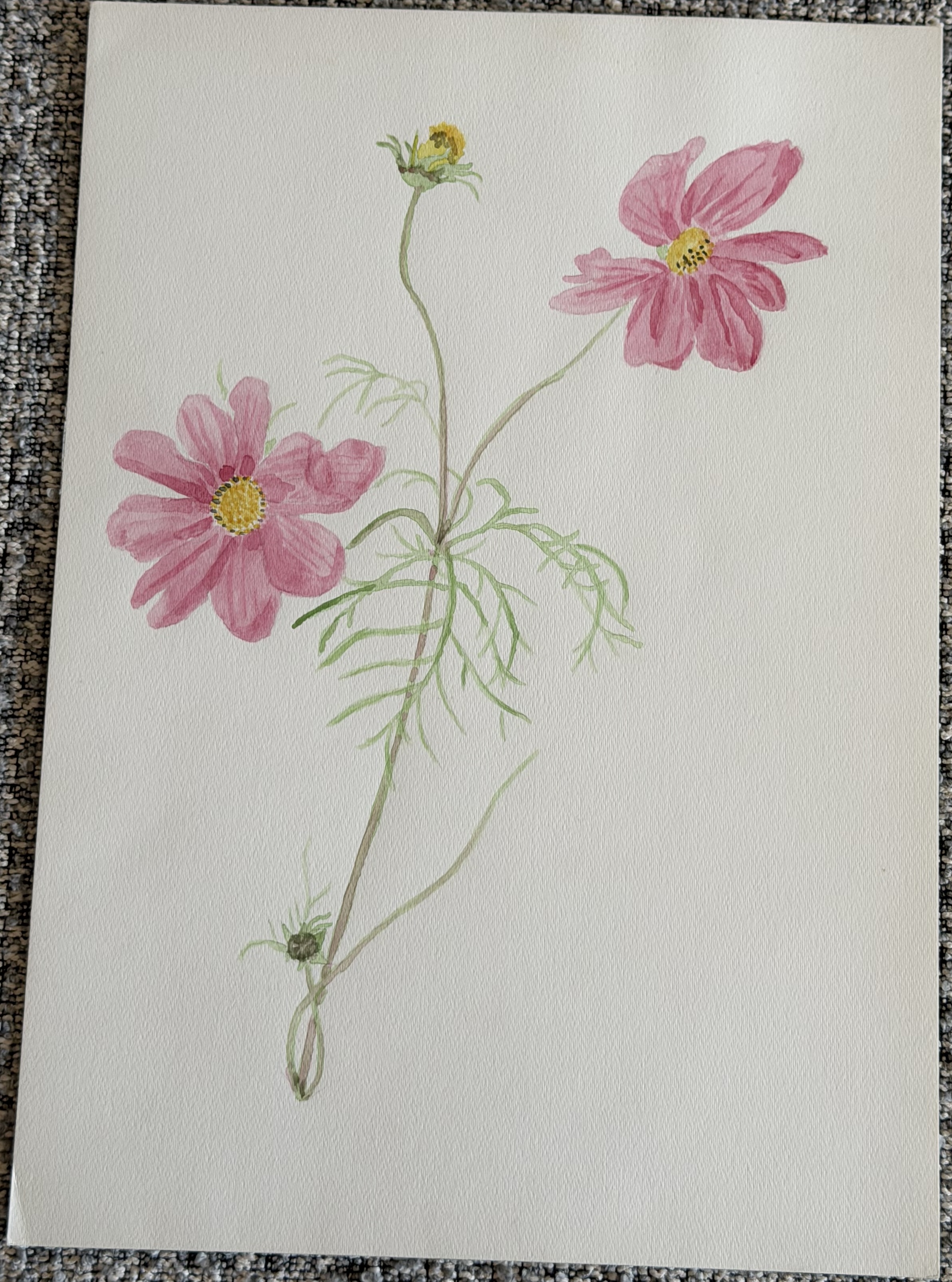 Bild 40
